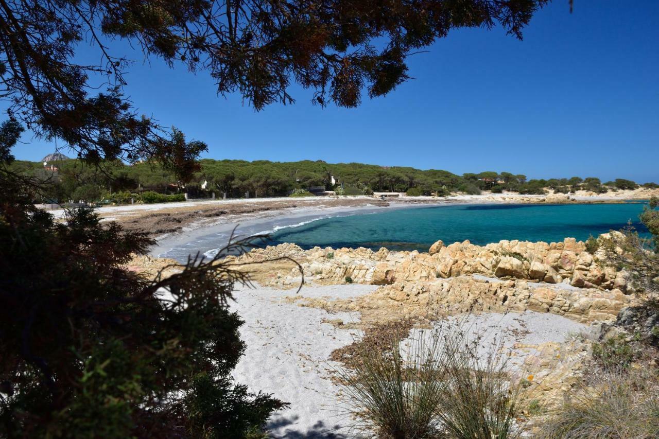 Villa Arancio Cala Liberotto Εξωτερικό φωτογραφία